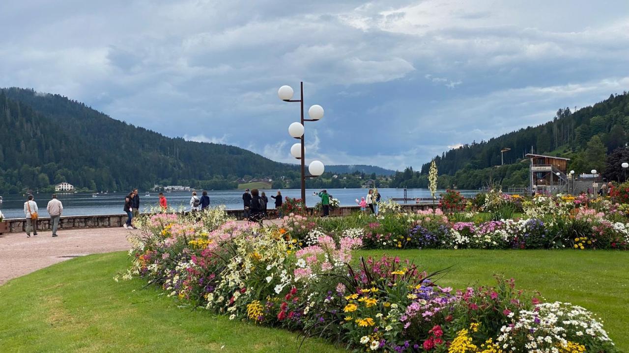 Cote Lac Gerardmer Luaran gambar